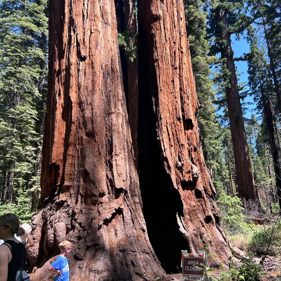 Meet your Posher, Sheila - Picture 4 of 15